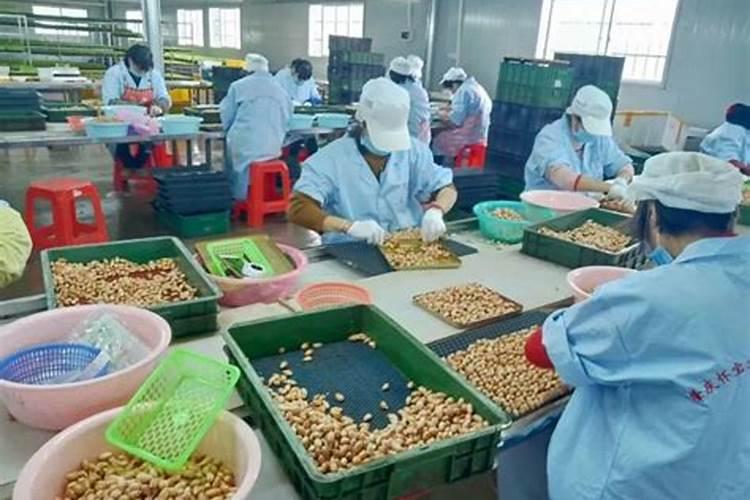 控释肥和缓释肥的区别