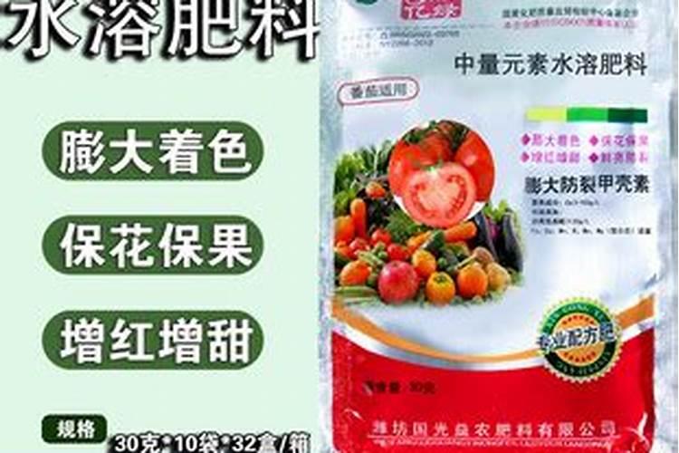 番茄什么时候冲钙肥好 注意事项有哪些
