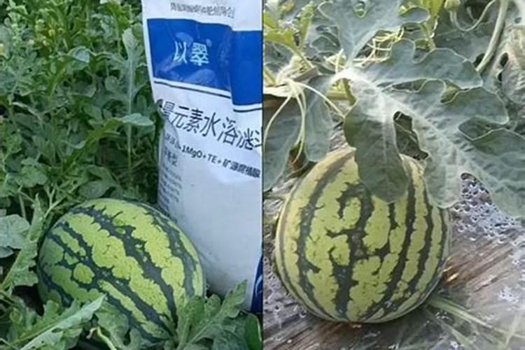 叶面肥可以灌根吗 叶面肥多长时间能吸收
