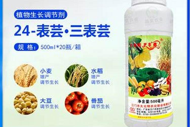 衣服沾上柴灰怎么洗掉？