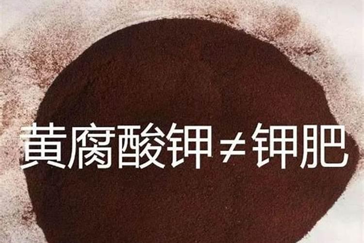 ？澳大利亚首都是哪个城市堪培拉的旅游