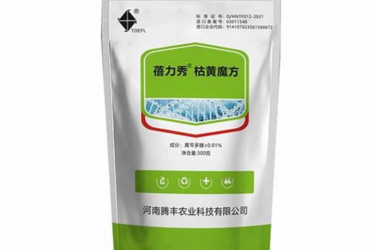 兰花用药及施肥