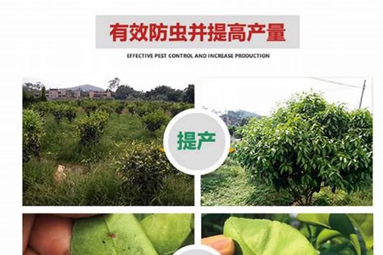 红四方玉米专用复合肥多少钱一吨？