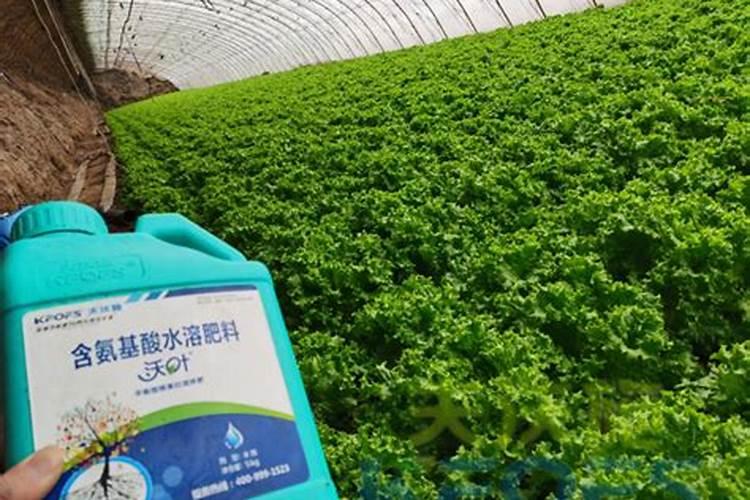 泥炭土和腐殖土哪个好