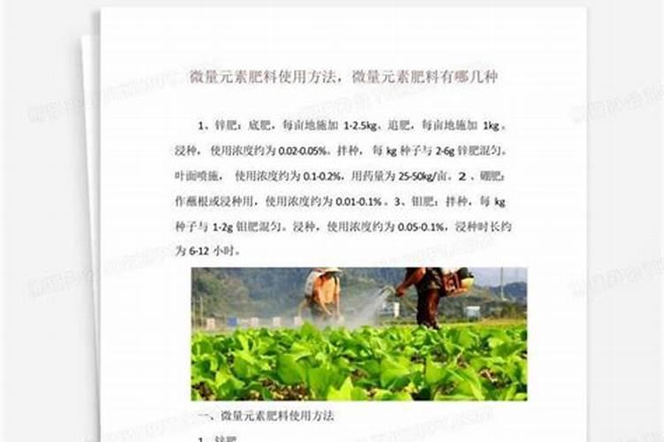 微量元素肥料有哪些