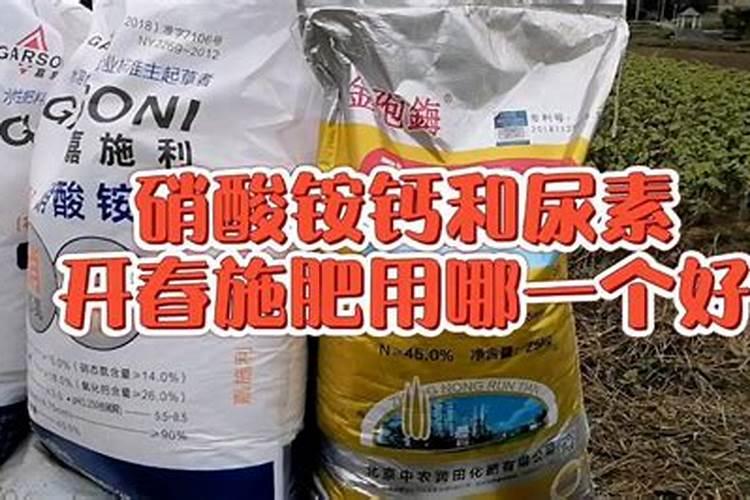 小麦追肥能用硝酸铵钙吗 什么时间用最好