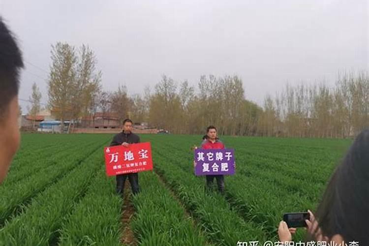 ...小麦/水稻轮作体系中,磷肥应如何分配？为什么？