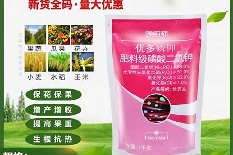 蝴蝶兰开花后怎么浇水