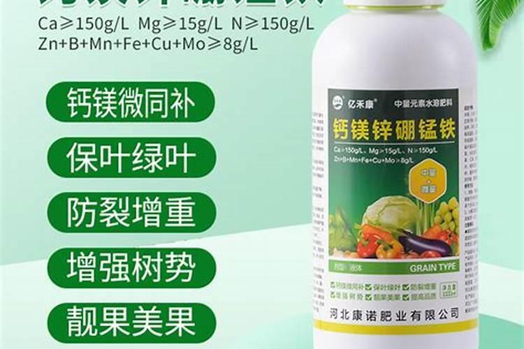 已经开花的蝴蝶兰怎么浇水
