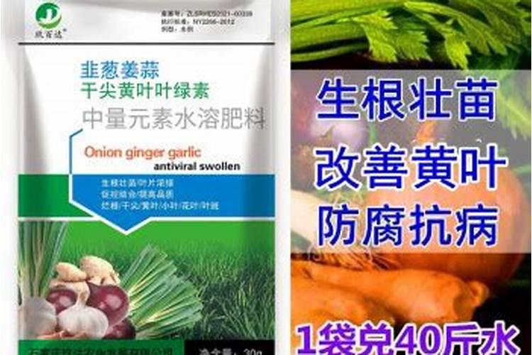 夏季种植大葱底肥用什么好？