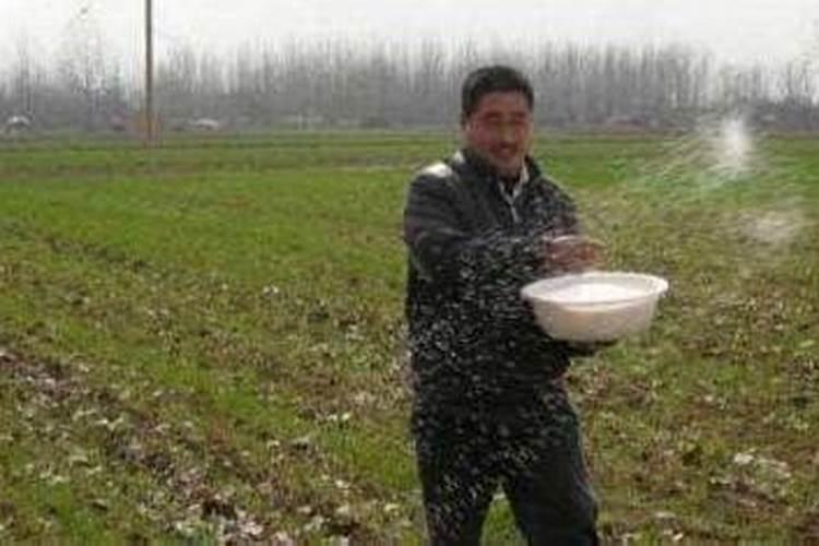 蝴蝶兰花后怎么养护