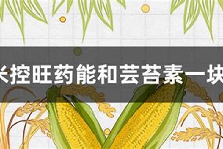 黄花菜生长期什么时候喷芸苔素好？
