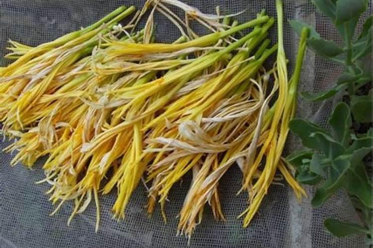 黄花菜分枝打什么药