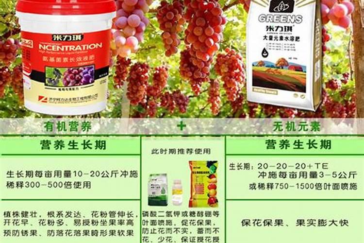 西瓜坐果后如何施肥