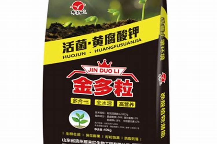 西瓜结果了需要施什么肥料
