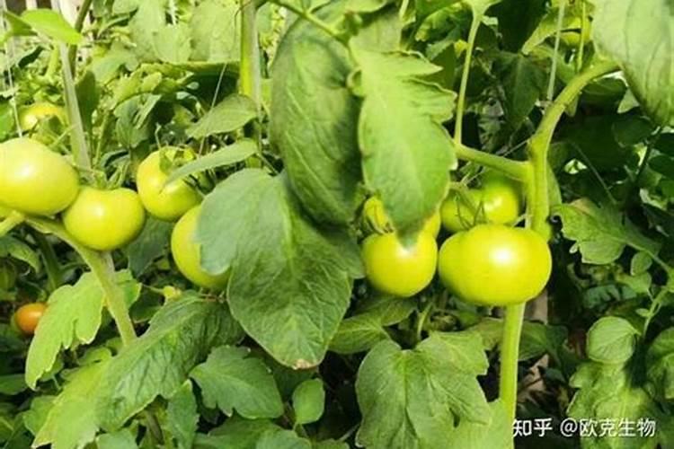 目前化肥价格多少钱一吨？为何都涨疯了？2022年5月化肥价格行情