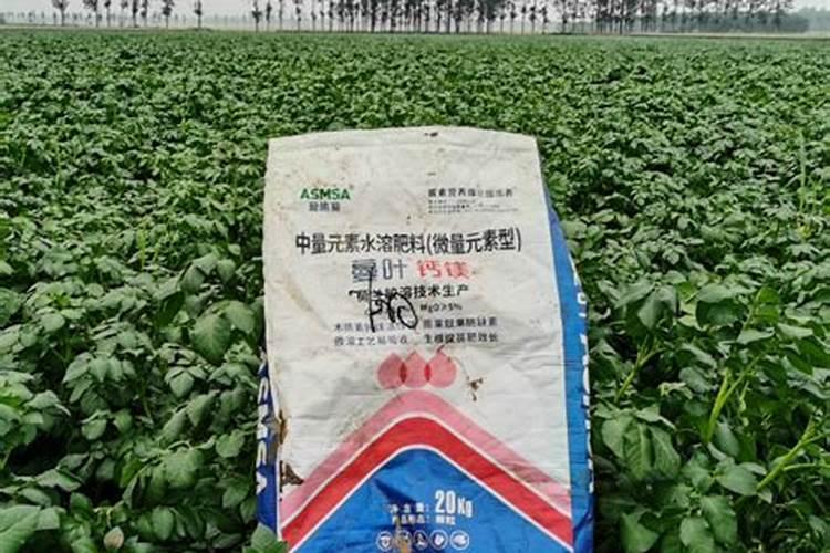矿源黄腐酸钾怎么辨别真假