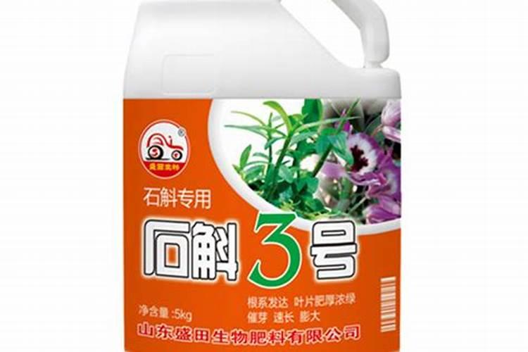 石斛好养吗 养殖方法和养护要点
