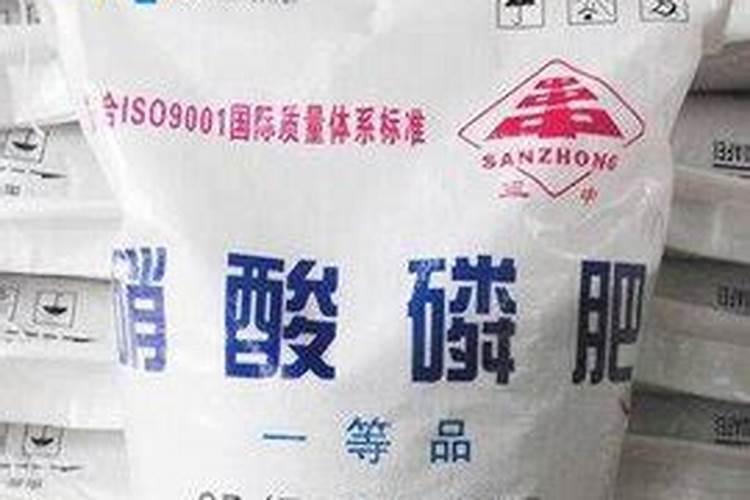 多肉可以施复合肥吗