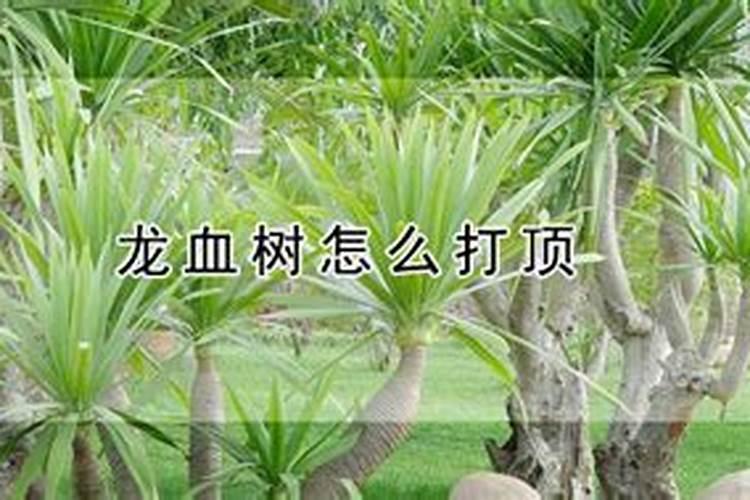 水溶肥的使用方法