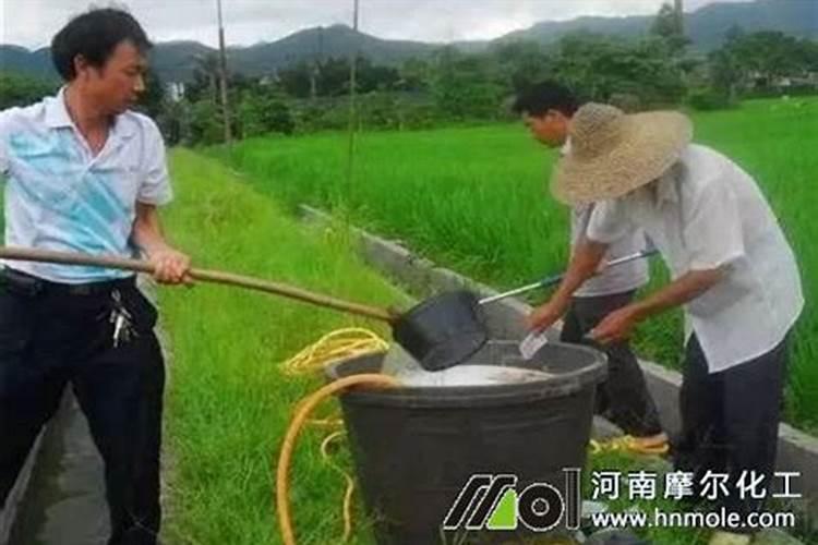 水溶肥使用时注意事项、方法与用量？