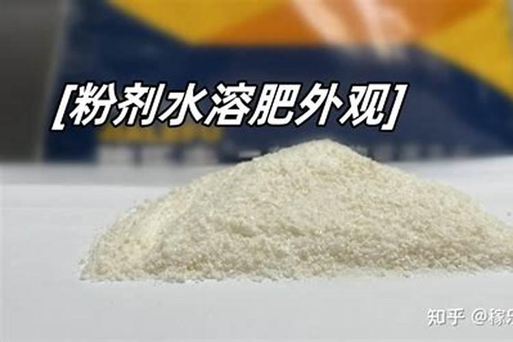 葡萄什么时候施肥好,施什么肥料好