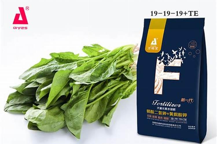葡萄施肥时间