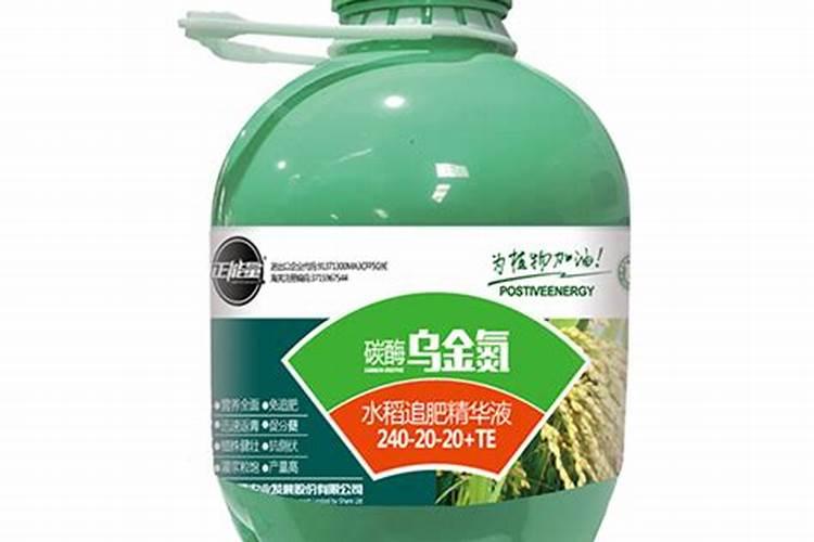 甘庶梢腐病怎么防治？发病原因是什么？