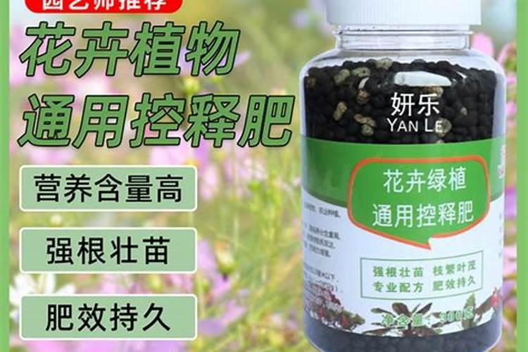 草莓病害图片及防治