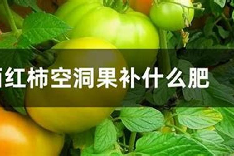 我家这个植物叶子发黑,还有白色的东西,怎么办？