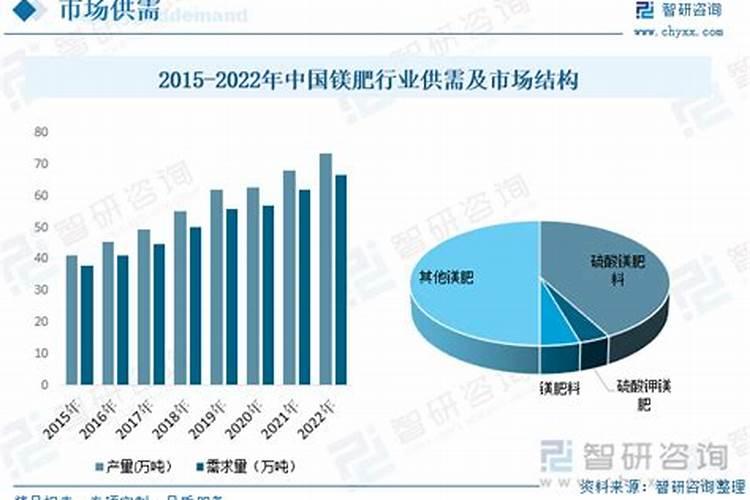 龟背竹施什么肥最好