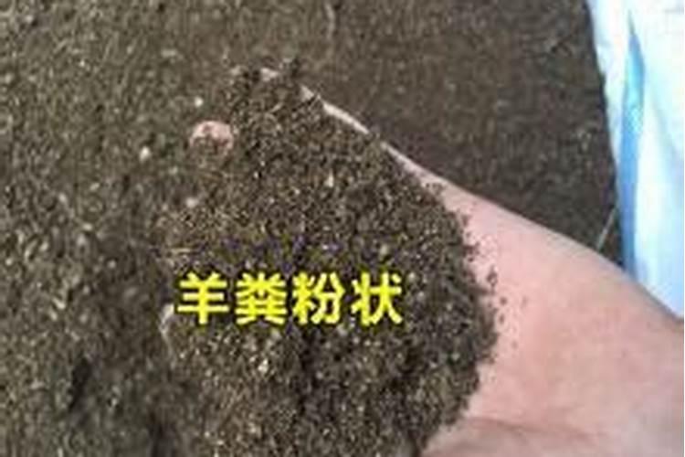 有机肥一亩用多少公斤  40公斤有机肥多少钱