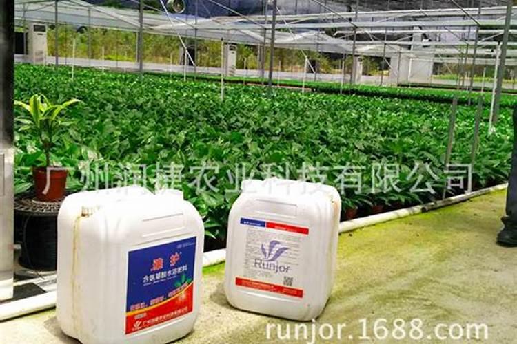 种植辣椒用什么底肥最好