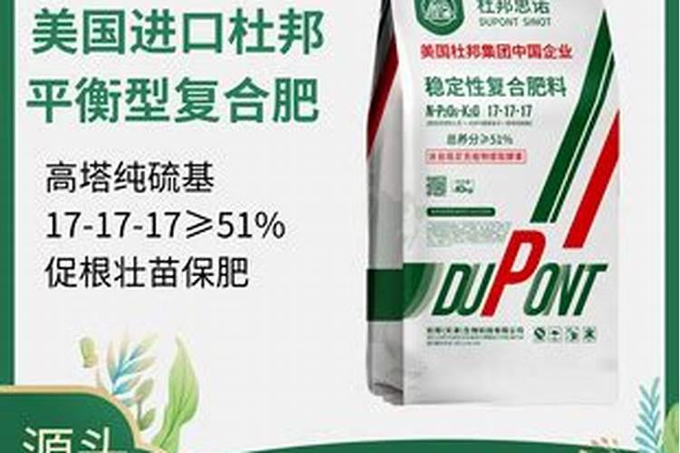 发财树多少年可以开花？