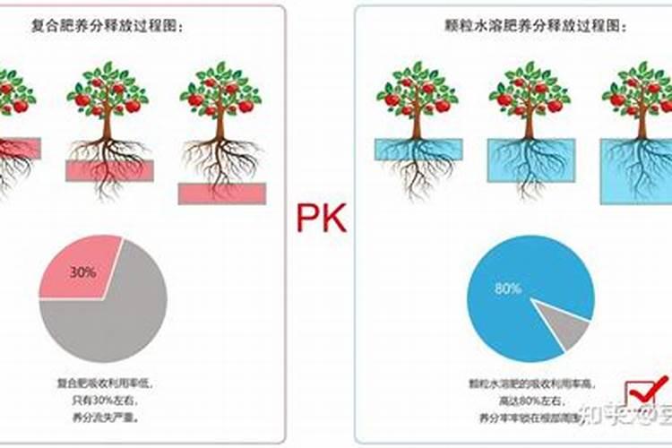 辣椒施底肥的正确方法