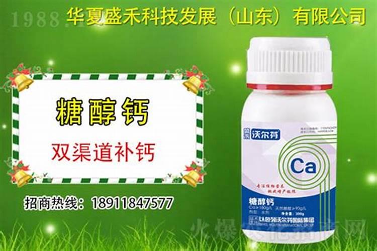 果树用糖醇钙和海澡钙哪种好