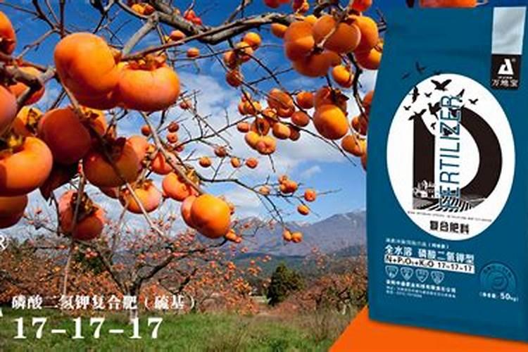 柿子树新枝叶突然蔫了,怎么办？请大神赐教。