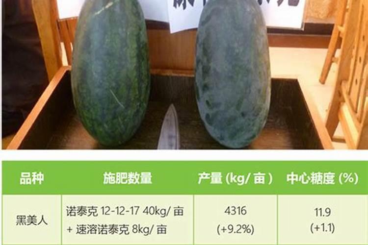 苹果施基肥用水溶肥合理吗？