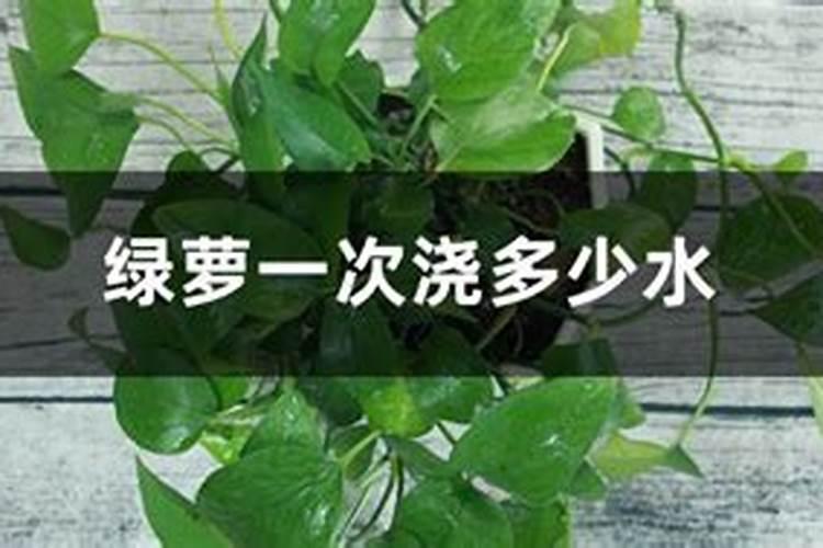 花生硼肥什么时间施用