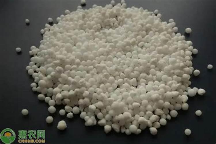 花生喷施硼肥的最佳时间 什么时候喷施最好