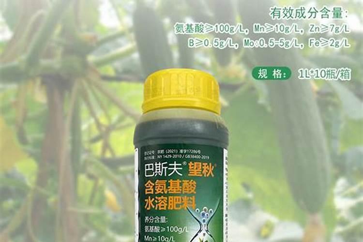 钙肥是什么肥料