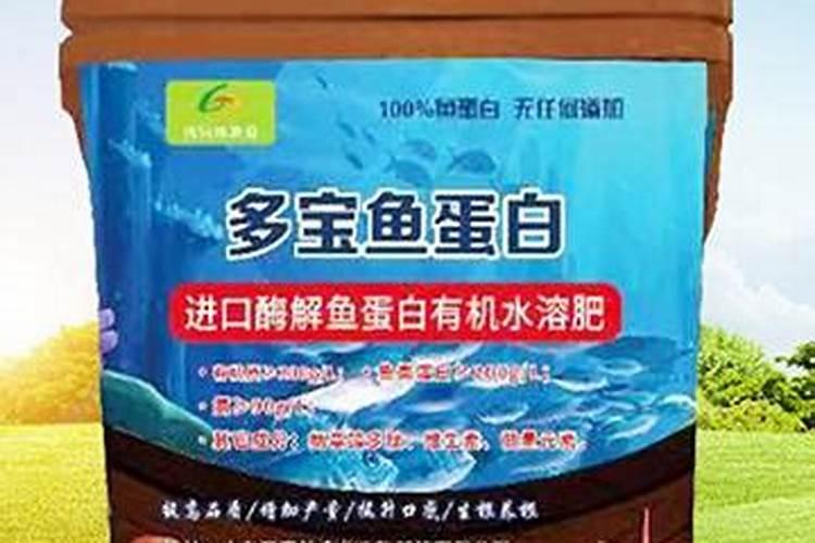 鱼蛋白怎么过滤出来
