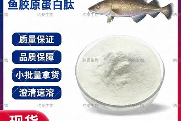 鱼蛋白的做法都有什么呢？