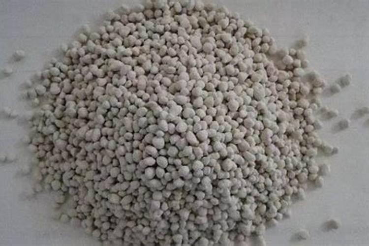 磷肥用做基肥会烧根吗