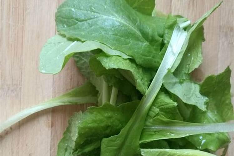 菜叶怎么发酵成肥料