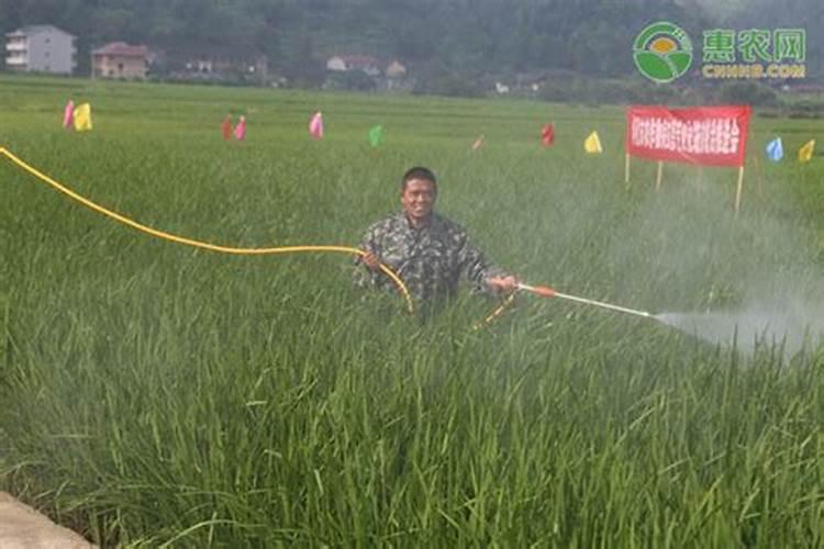 水肥一体化技术,在矮砧密植苹果园的使用方法是怎样的？
