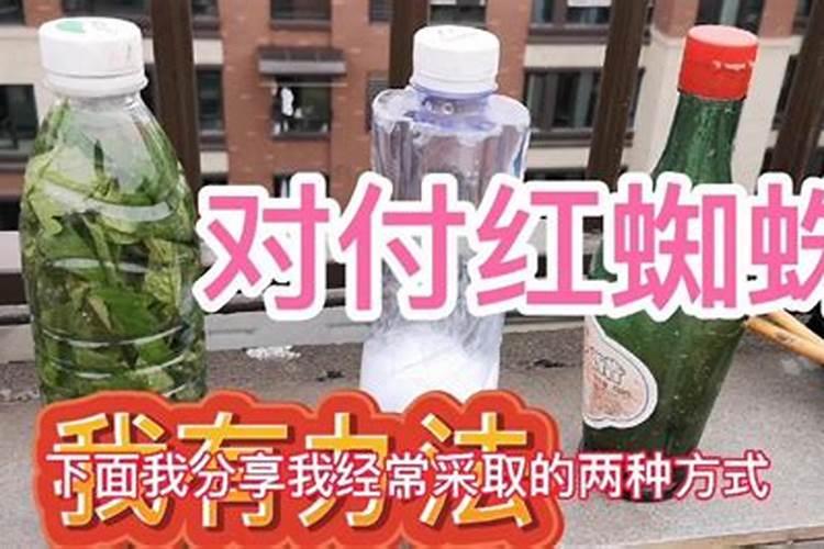 红提葡萄啥时候膨大