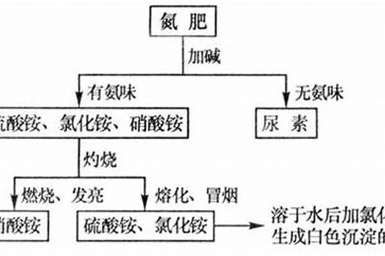 甲壳素海藻精钾水溶肥效果怎么样