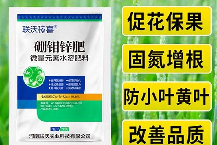 中盐海藻精制加碘盐健康无负担的调味品