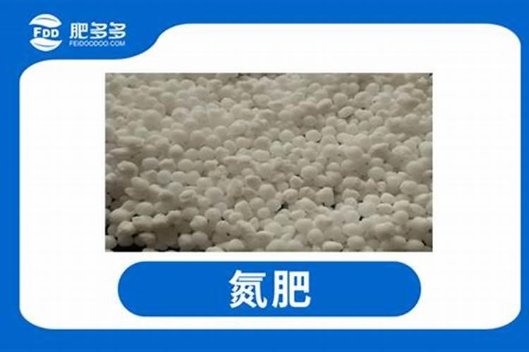 以色列海法水溶肥